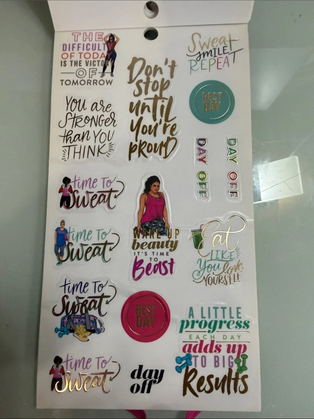 The Happy Planner Fitness Sticker Pack - Multicolor